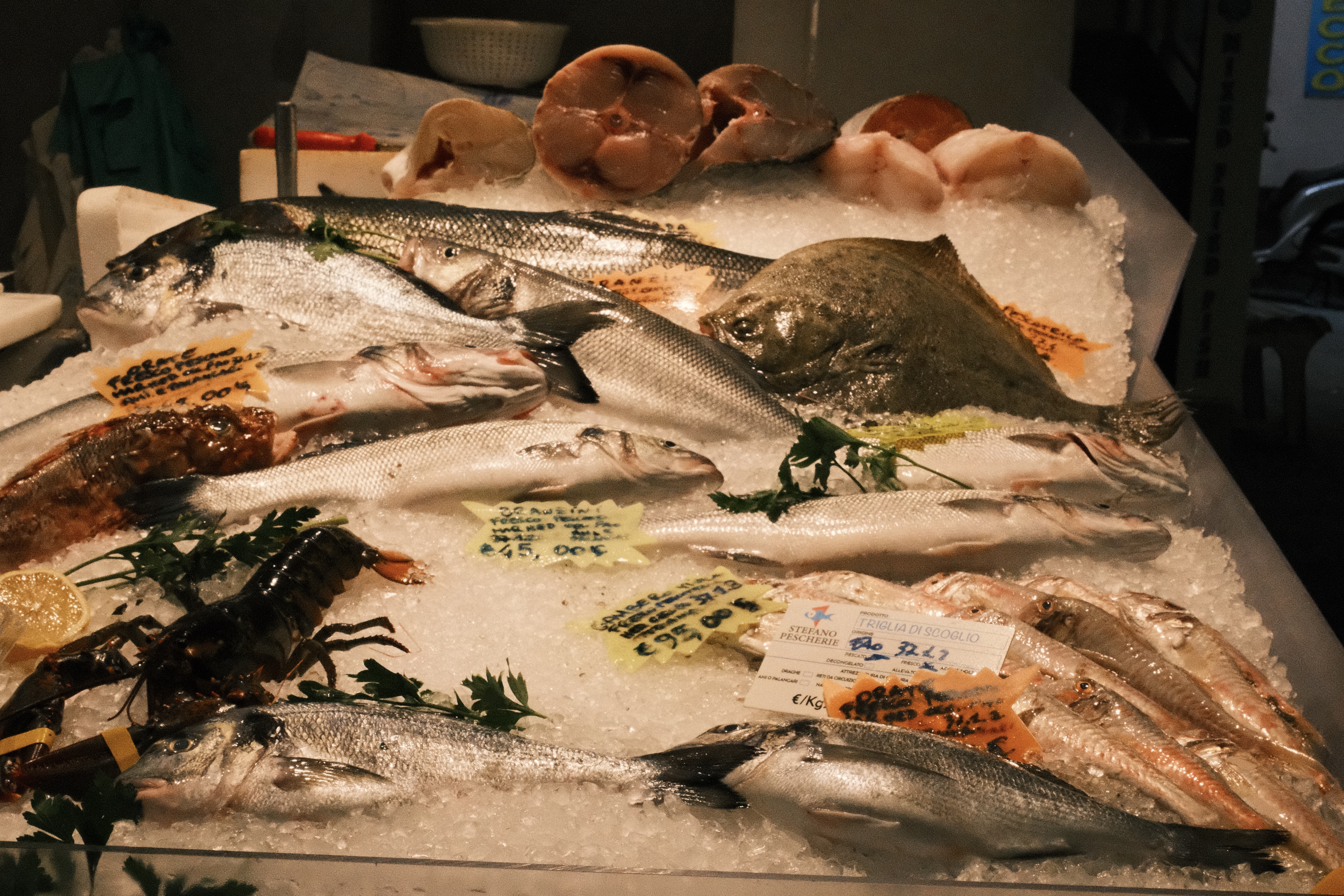 Fresh whole fish displayed at a Mediterranean market