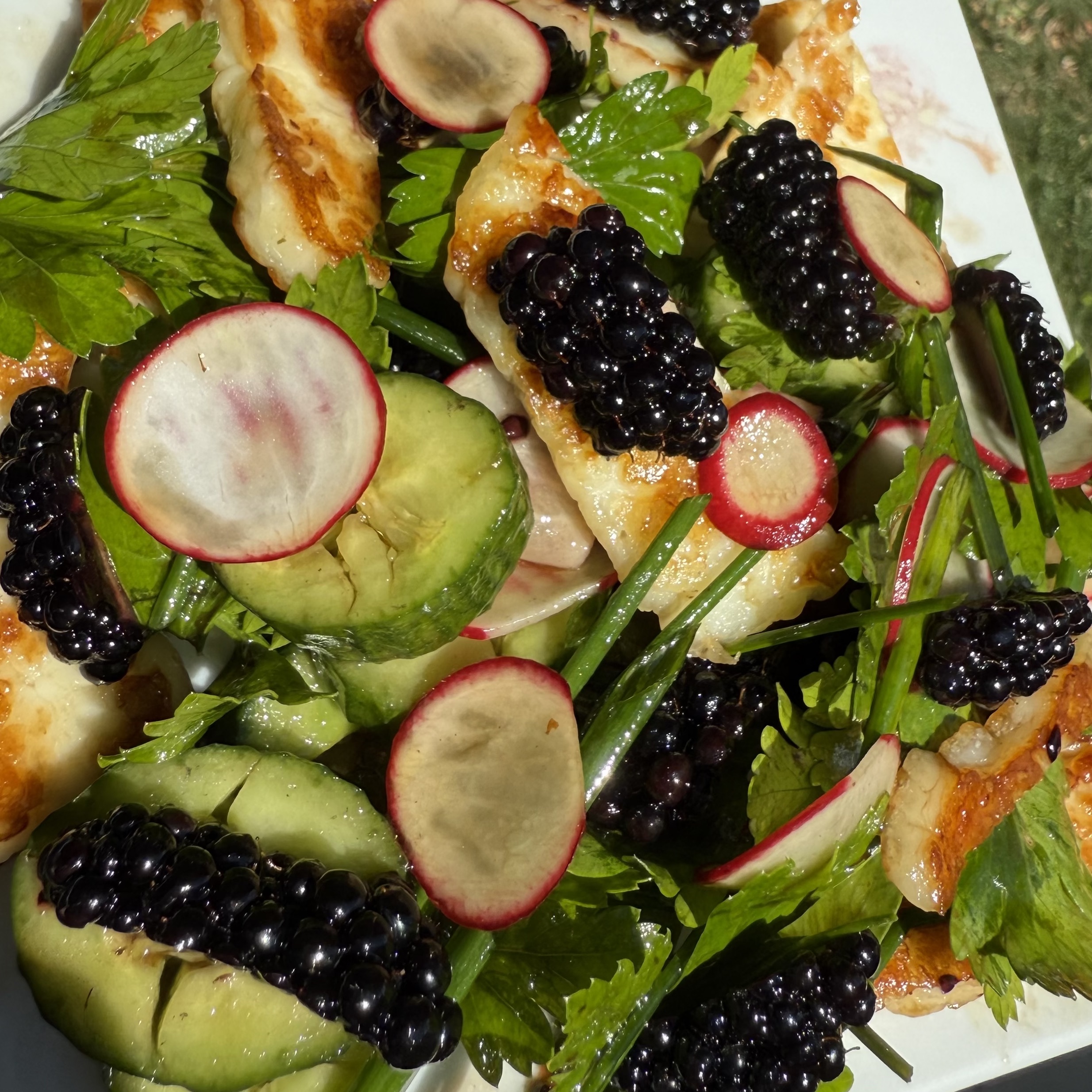Blackberries, herbs, and grilled cheese